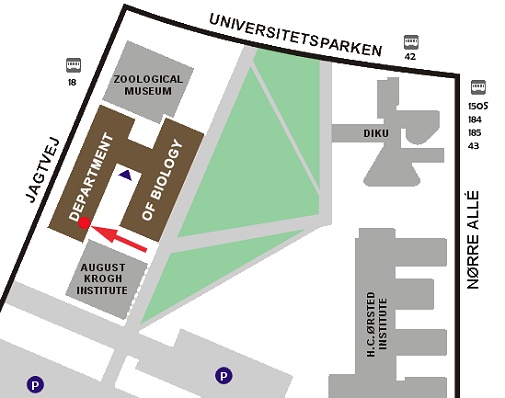 plan of the university park