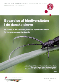 Forside til rapporten Bevarelse af biodiversitet i de danske skove