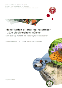 Forside til rapporten Identifikation af arter og naturtyper i 2020 biodiversitetsmålene