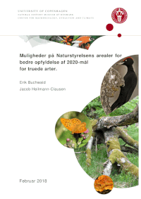 Forside for rapporten Muligheder på Naturstyrelsens arealer for bedre opfyldelse af 2020-mål for truede arter