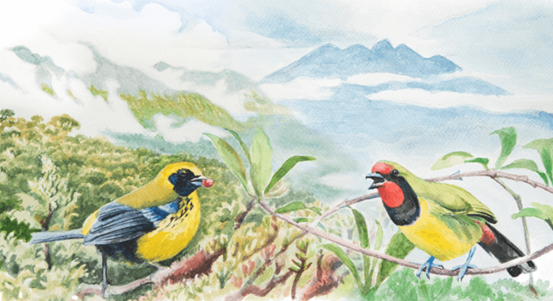 Illustration of two birds in a tropical environment. 