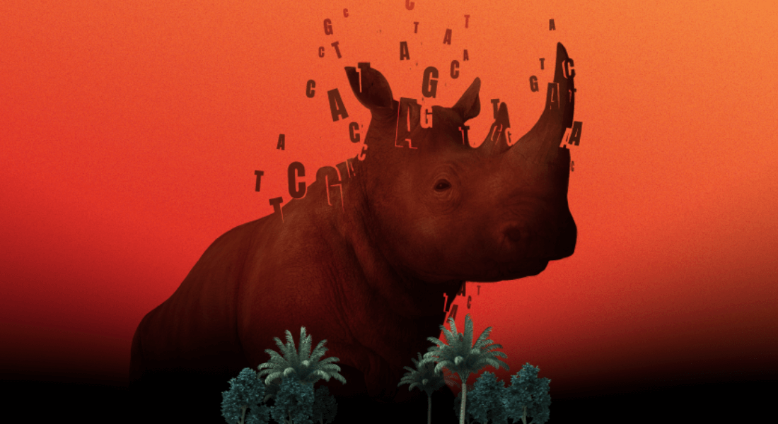 A graphic depiction of a rhino on a red background being disolved with letters floating from the rhino.