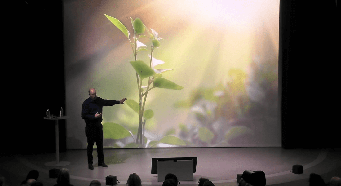 Carsten Rahbek gives a talk in front of a big screen showing a plant in sunlight