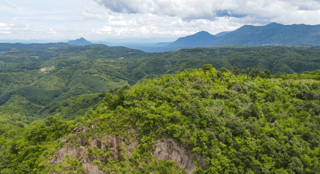 Aerial photo of South American rainforest.