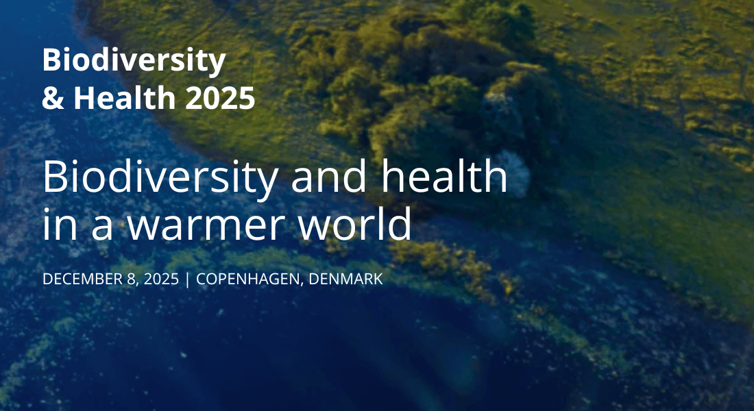 Photo of wetland area