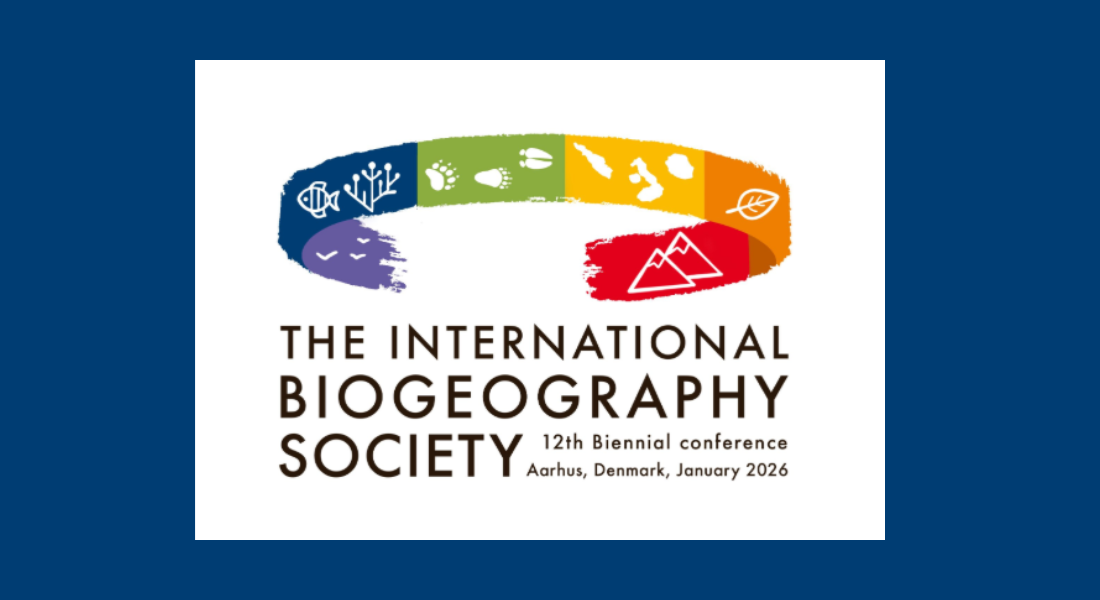 Logo for TIBS 12th conference 2026 in Aarhus